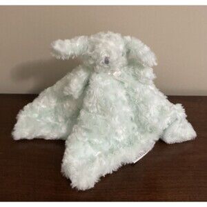 Blankets and Beyond Bunny Dog Lovey Mint Green Security Blanket Swirly Fabric